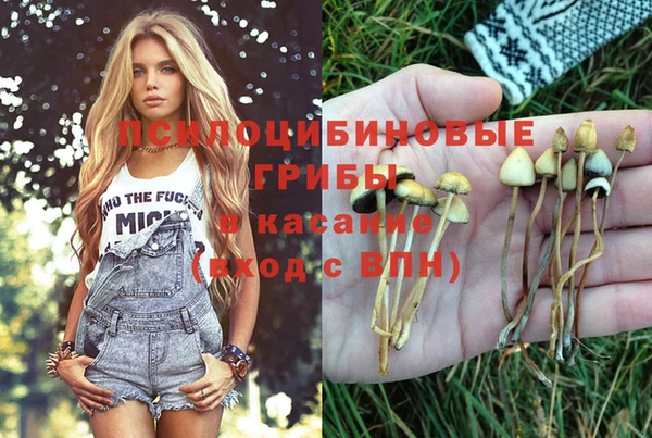 первитин Белоозёрский