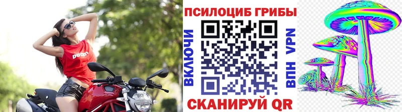 Галлюциногенные грибы Psilocybe Купить Талица
